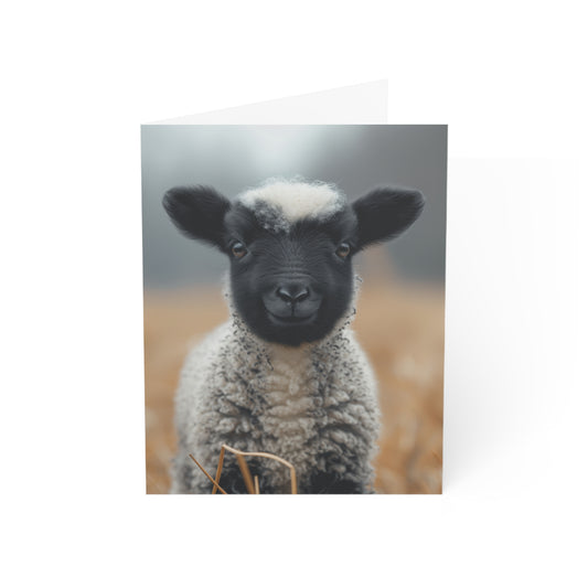 I Love You My Little Lamb - Greeting Cards (1, 10 pcs)